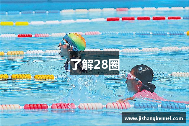 了解28圈